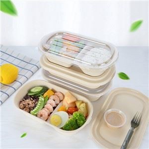 Bento för engångslåda med lock