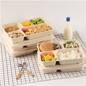 Sockerrör Bagasse Matbehållare